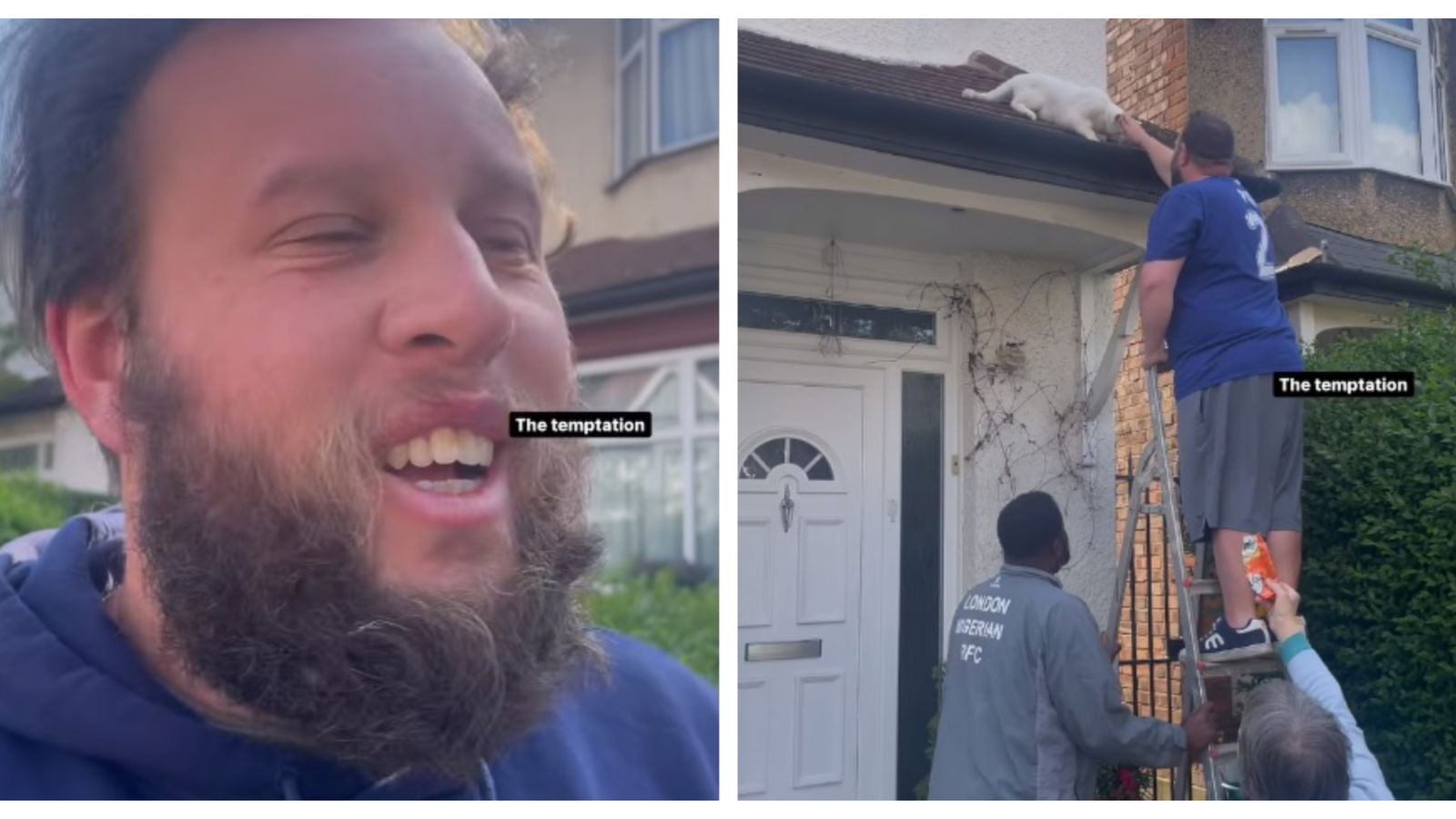 Andrew "Beef" Johnston cracks up at neighbourhood "drama" over stuck cat